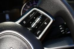 2023 Kia
                Carnival S
