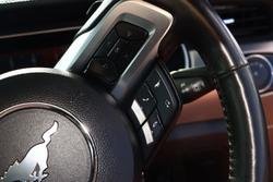 2022 Ford
                Mustang High Performance