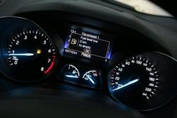 2019 Ford
Escape Trend
