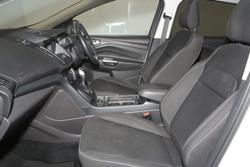 2019 Ford
Escape Trend