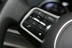 2022 Kia
Carnival S