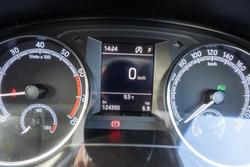 2019 SKODA Fabia 81TSI