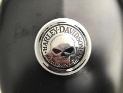 2015 Harley-Davidson
                Iron 883 (XL883N) 