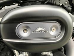 2015 Harley-Davidson
                Iron 883 (XL883N) 