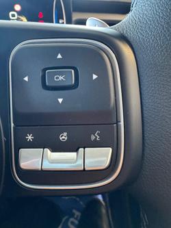 2025 GWM Cannon Ultra