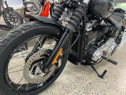 2025 Harley-Davidson Street Bob 117 (FXBB) Softail