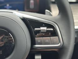 2025 GWM
Cannon Alpha Lux PHEV