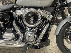 2025 Harley-Davidson Street Bob 117 (FXBB) Softail Grey