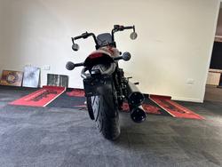 Indian Scout Rogue