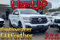 2025 GWM Cannon Premium