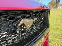 2025 Ford
Mustang GT