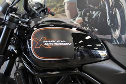 2024 Harley-davidson HD500-10A H-DX X500 BLACK
