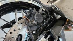 2025 Kawasaki Z900RS (Z900C) Z Red