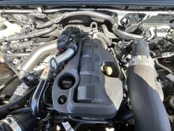 2022 Ford
                Everest Ambiente