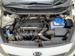 2014 Kia
Rio S