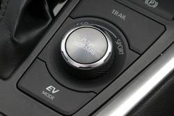 2021 Toyota
RAV4 Cruiser