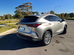 2024 Lexus
NX 350h Sports Luxury