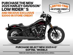 Harley-Davidson FXLRS LOW Rider S (117)