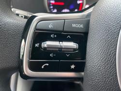 2022 Kia
                Carnival S