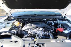 2025 Ford
Everest Wildtrak