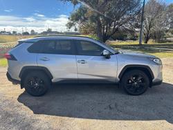 2020 Toyota
                RAV4 Cruiser