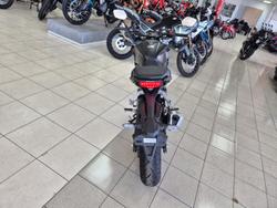 2024 Honda CB300R (CB300RA) CB300 Black
