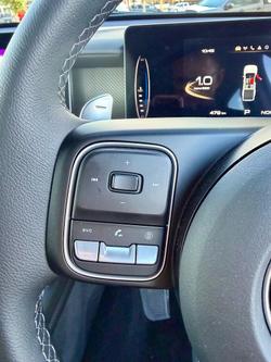 2025 GWM Cannon Premium