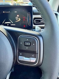 2025 GWM Cannon Premium