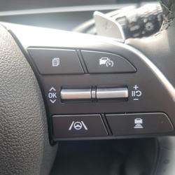 2025 Hyundai
STARIA Highlander