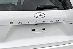 2025 Hyundai
Palisade Calligraphy