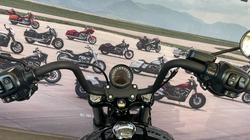 2025 Harley-davidson FXBB STREET BOB (117) Vivid Black
