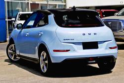 2025 GWM
Ora Standard Range