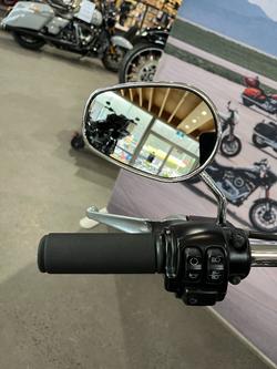 2016 Harley-davidson FXDL LOW RIDER Black