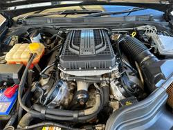 2012 Ford Performance Vehicles
                Pursuit Boss 315