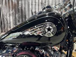 2025 Harley-davidson FLFB FAT BOY (117) Vivid Black