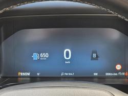 2024 Ford
Everest Platinum