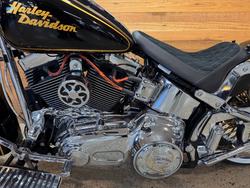2015 Harley-davidson FLSTN SOFTAIL DELUXE Black
