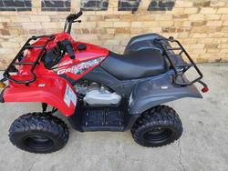 2025 YAMAHA GRIZZLY 110 (YFM110G) ATV FARM RED