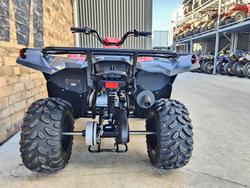 2025 YAMAHA GRIZZLY 110 (YFM110G) ATV FARM RED