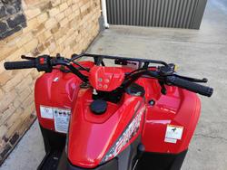2025 YAMAHA GRIZZLY 110 (YFM110G) ATV FARM RED