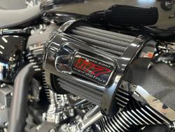 2025 Harley-Davidson Low Rider S 117 (FXLRS) Softail Black