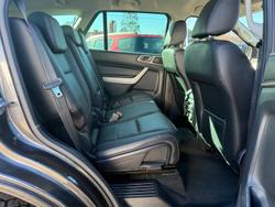 2019 Ford
                Everest Trend