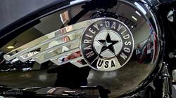 2025 Harley-Davidson Fat Boy 117 (FLFB) Softail Black