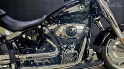 2025 Harley-Davidson Fat Boy 117 (FLFB) Softail Black