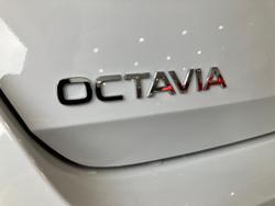 2025 SKODA Octavia 110TSI Select NX MY25 Moon White
