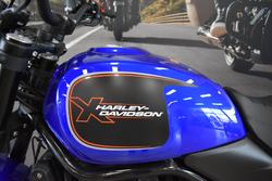 2025 Harley-davidson HD500-10A H-DX X500 BLUE