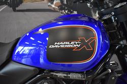 2025 Harley-davidson HD500-10A H-DX X500 BLUE