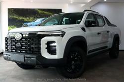 LDV T60