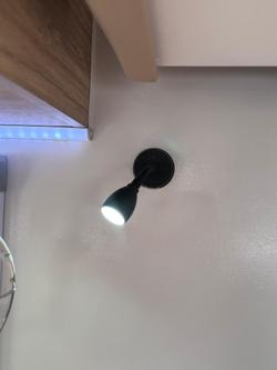 2024 Royal Flair Aussiemate