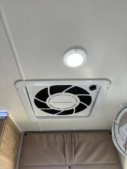 2024 Royal Flair Aussiemate